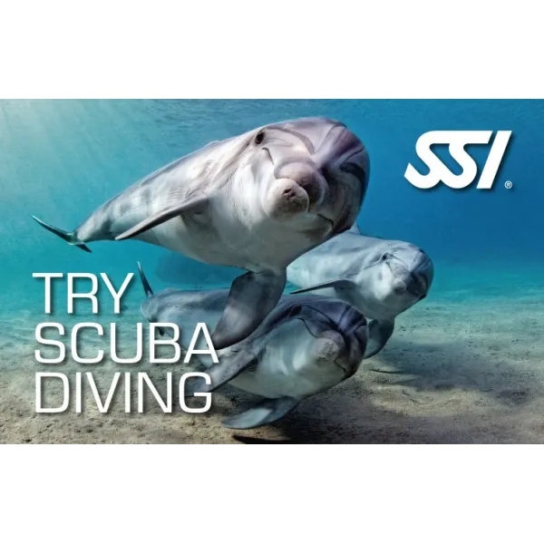 Try Scuba SSI