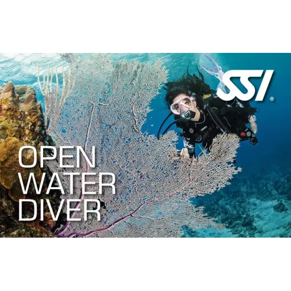 Corso - full rent - Open Water Diver SSI