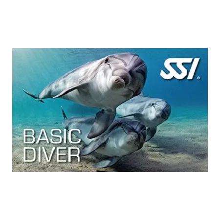 Corso Basic Diver SSI