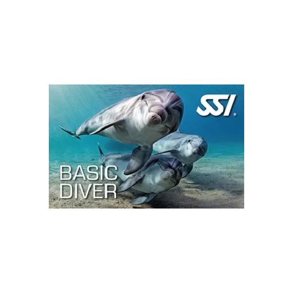 Corso Basic Diver SSI